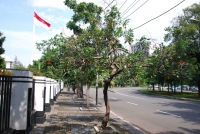 Предыдущее фото: Флаг Индонезии