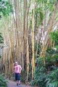 Следующее фото: Бамбук и я