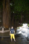 Следующее фото: Я под типичным кубинским деревом